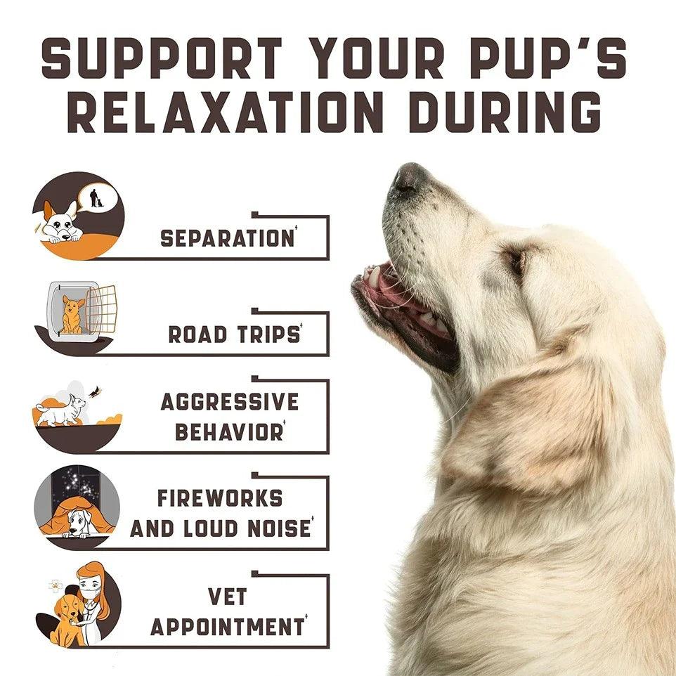 Kinpur Pet Care Calming Chews for Dogs with Hemp Oil Aid During Thunderstorms