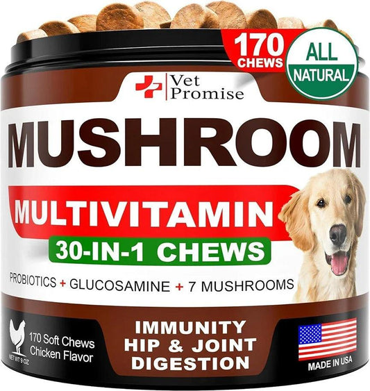 Mushroom for Dogs 170 Chews Turkey Tail Mushroom for Dogs Mushroom