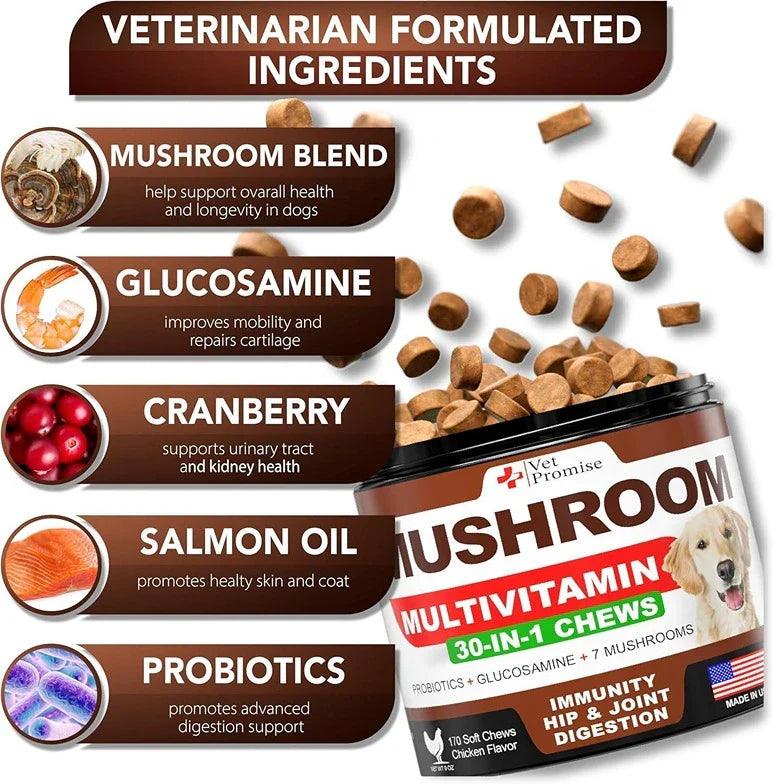 Mushroom for Dogs 170 Chews Turkey Tail Mushroom for Dogs Mushroom